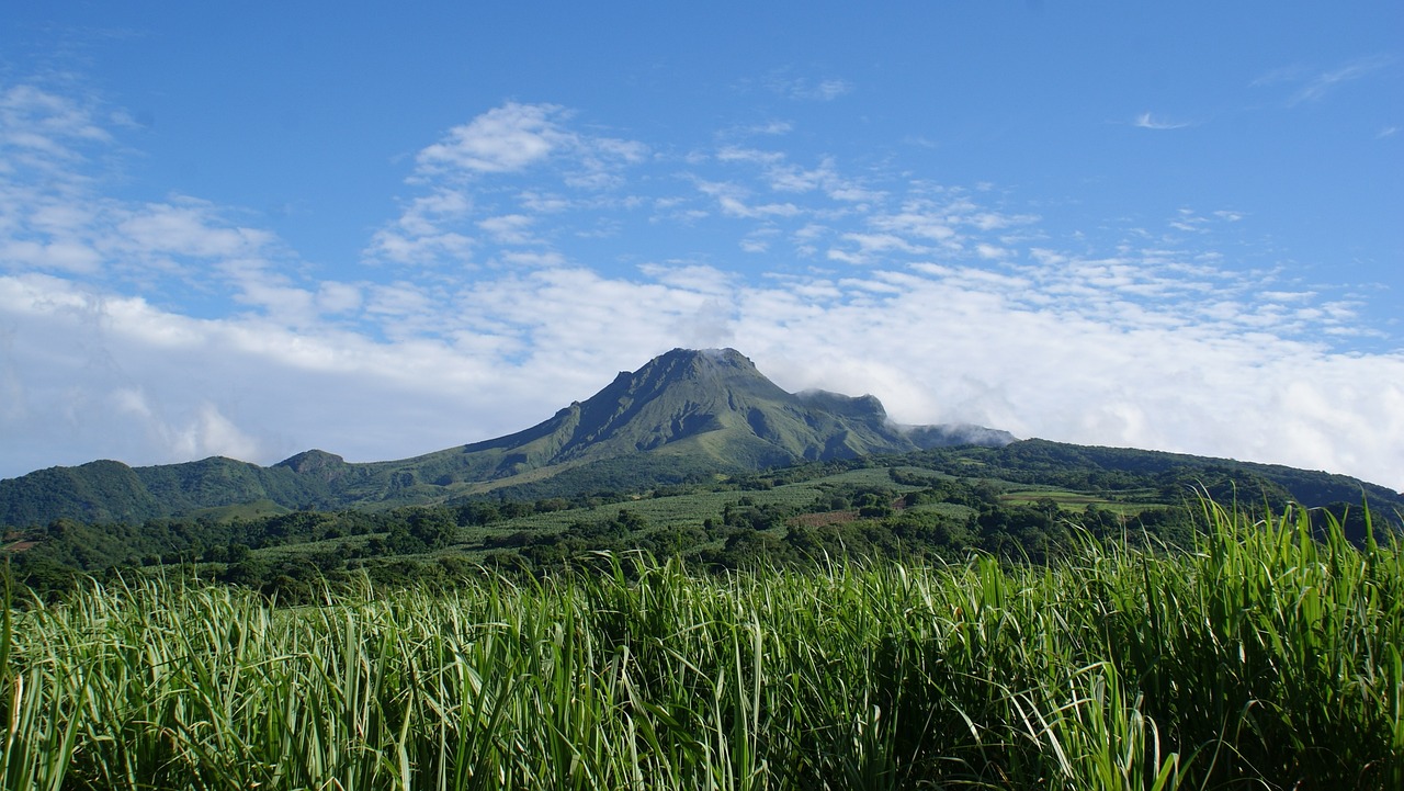 découvrez la martinique, une île des caraïbes aux paysages à couper le souffle, avec ses plages de sable blanc, sa culture vibrante, et sa riche histoire. parfaite pour des vacances inoubliables, cette destination allie détente, aventure et gastronomie créole.