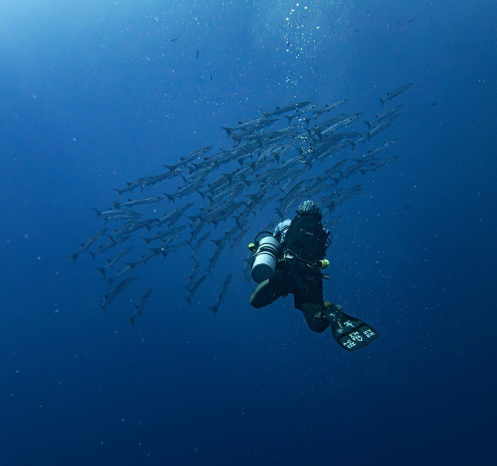 découvrez le plaisir d'une exploration amusante ! plongez dans des aventures captivantes, des activités ludiques et des découvertes surprenantes qui éveilleront votre curiosité et stimuleront votre esprit. rejoignez-nous pour une expérience inoubliable et enrichissante.