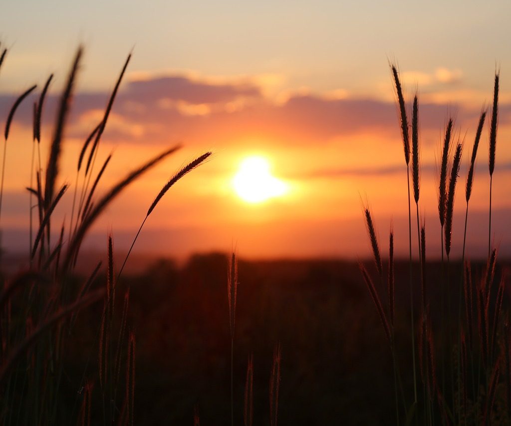 découvrez la beauté époustouflante des couchers de soleil à travers le monde. profitez de moments magiques où le ciel se teinte de couleurs vibrantes, créant des panoramas inoubliables. explorez nos conseils pour les meilleures destinations et astuces pour capturer ces instants de sérénité.