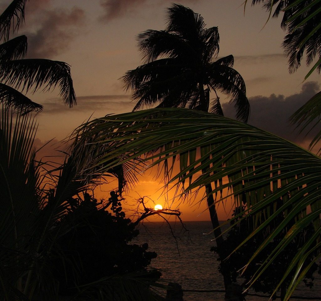 découvrez l'univers vibrant des danses afro-caribéennes, un mélange captivant de rythmes et de mouvements enracinés dans la culture afro et caribéenne. apprenez l'histoire, les techniques et les styles emblématiques qui font de ces danses une célébration de la diversité et de l'identité culturelle. rejoignez-nous pour explorer cette riche tradition et laissez-vous emporter par la passion et l'énergie des danses afro-caribéennes.